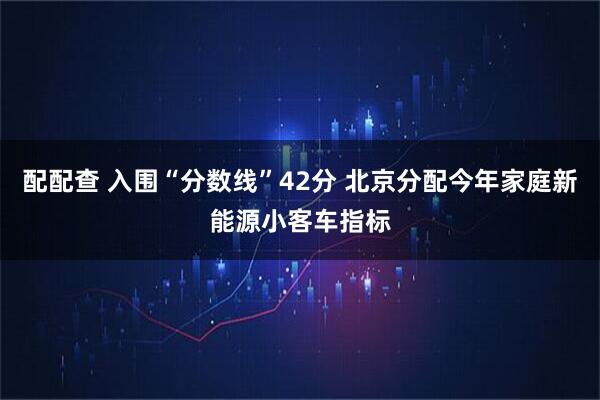 配配查 入围“分数线”42分 北京分配今年家庭新能源小客车指标